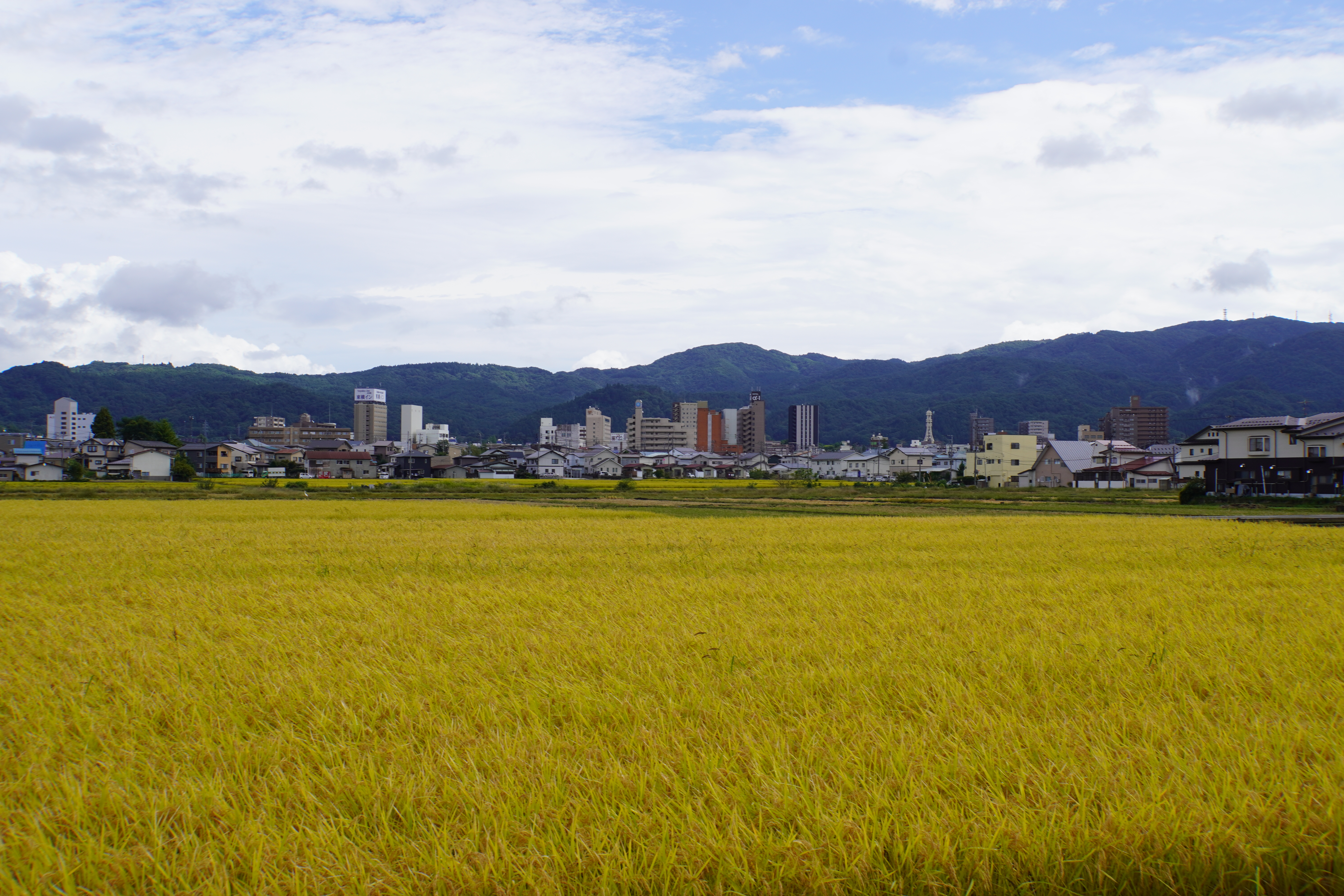 Feld in Aizuwakamatsu
