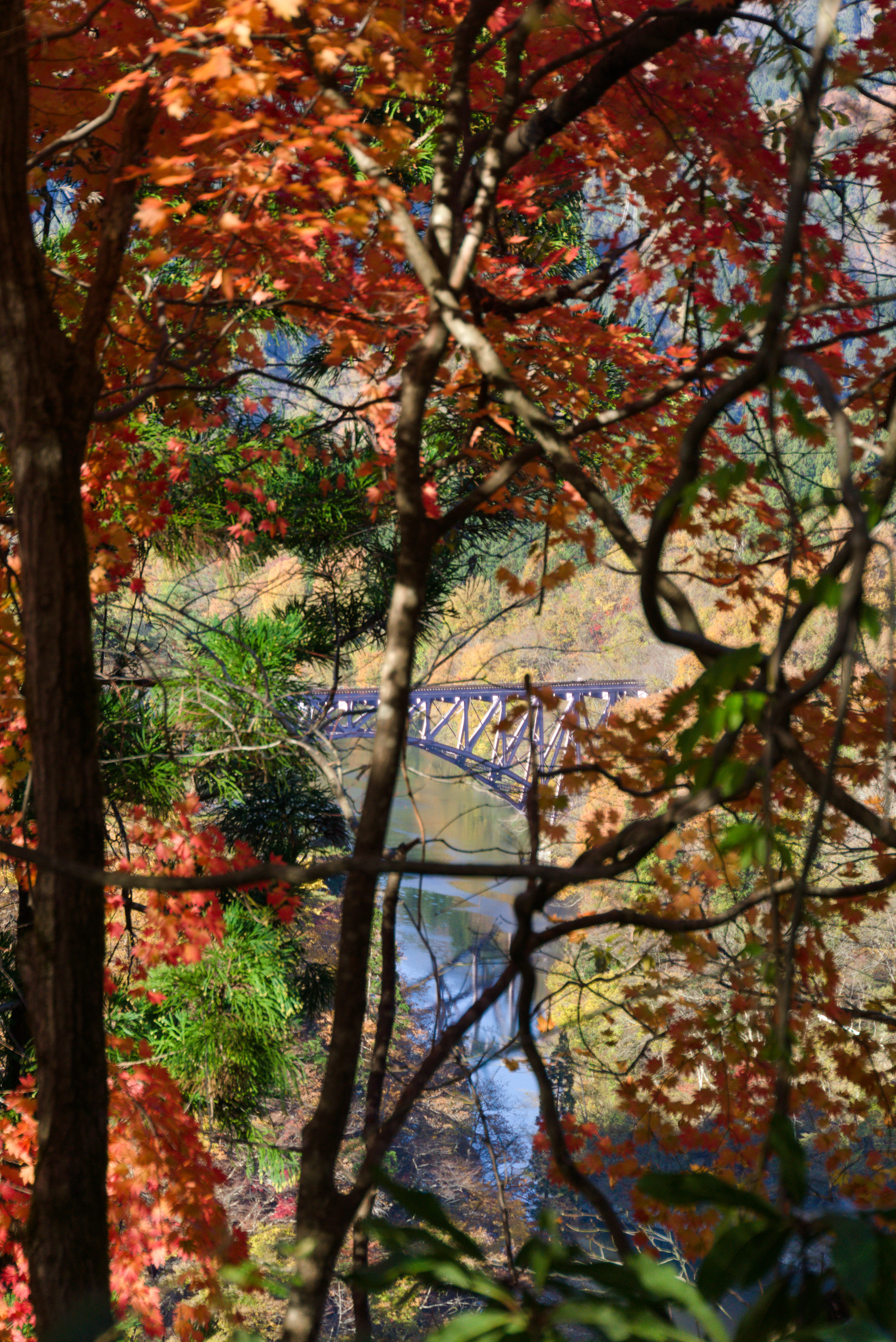 Ausblick auf schöne Brücke