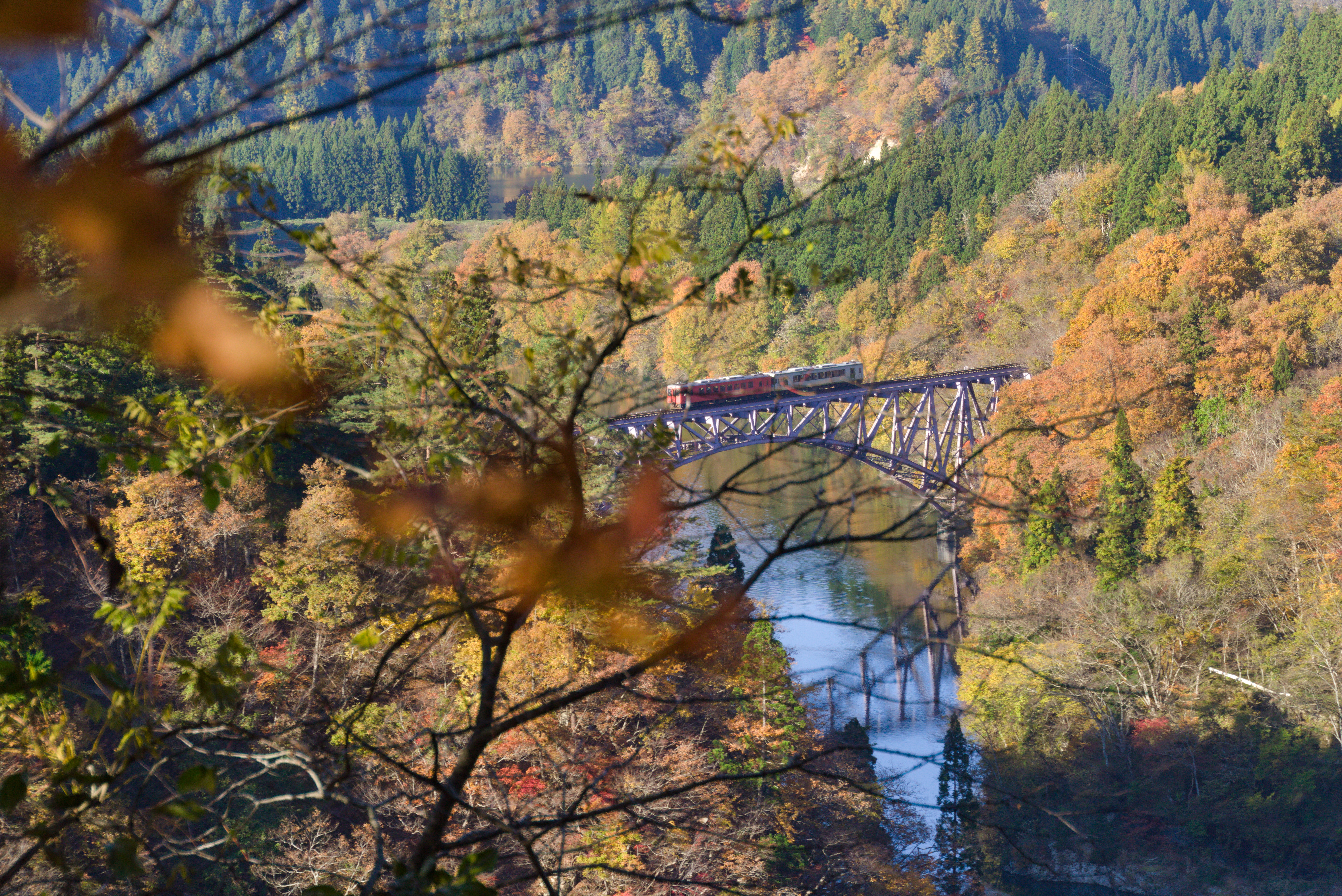Ausblick bei schöne Brücke mit Zug
