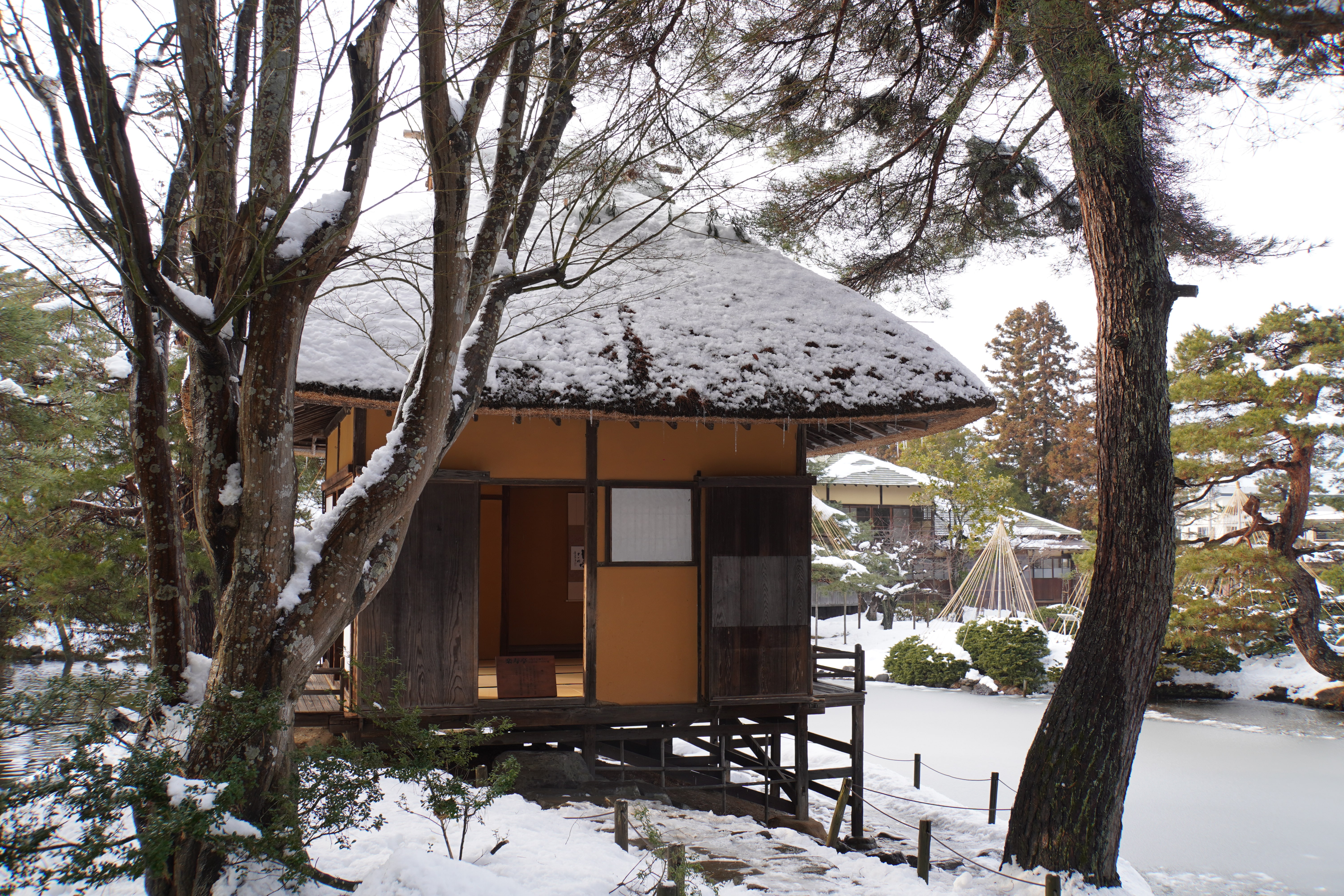 schöner Park im Winter