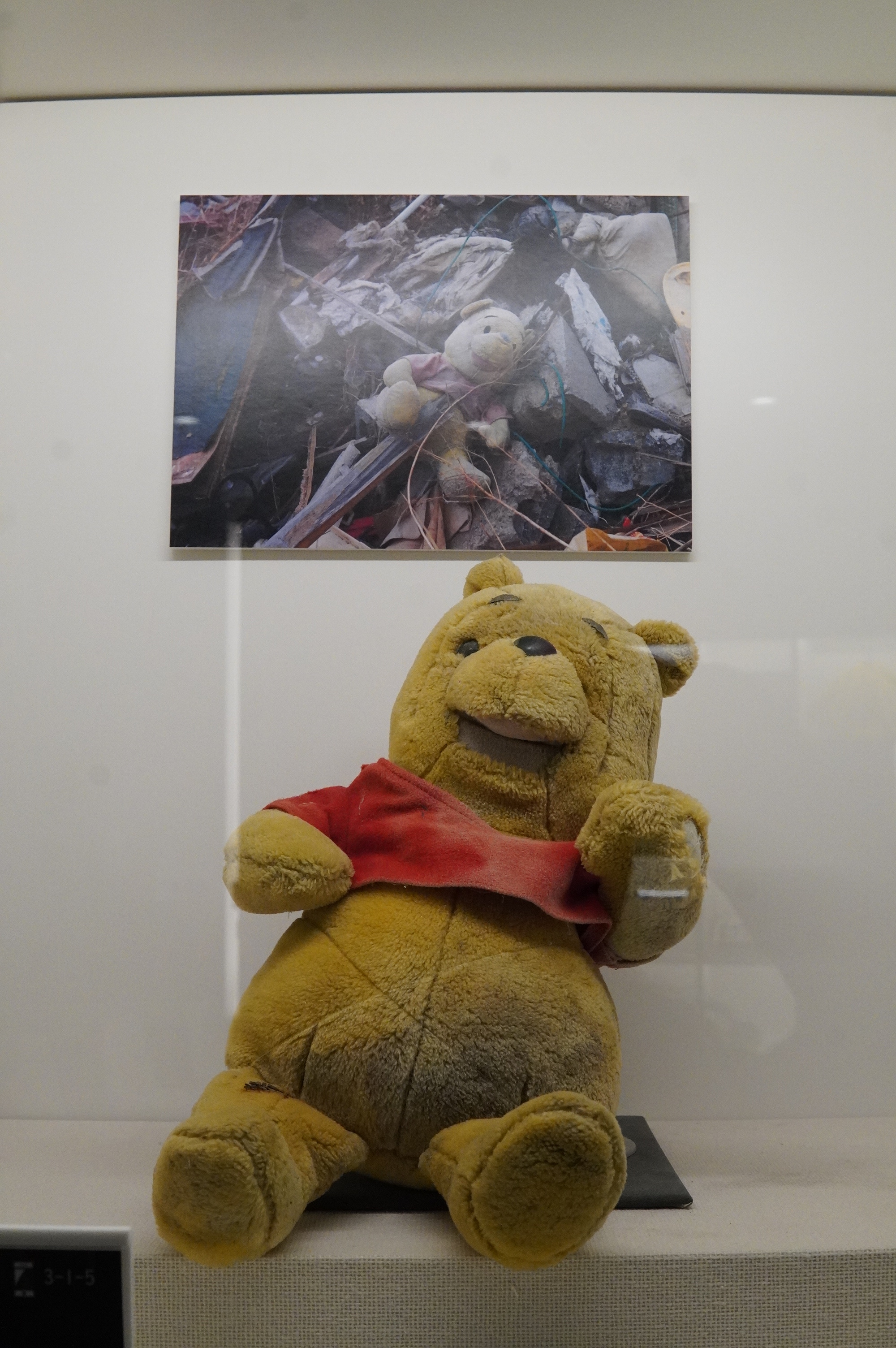 im Schutt gefundener Teddybär