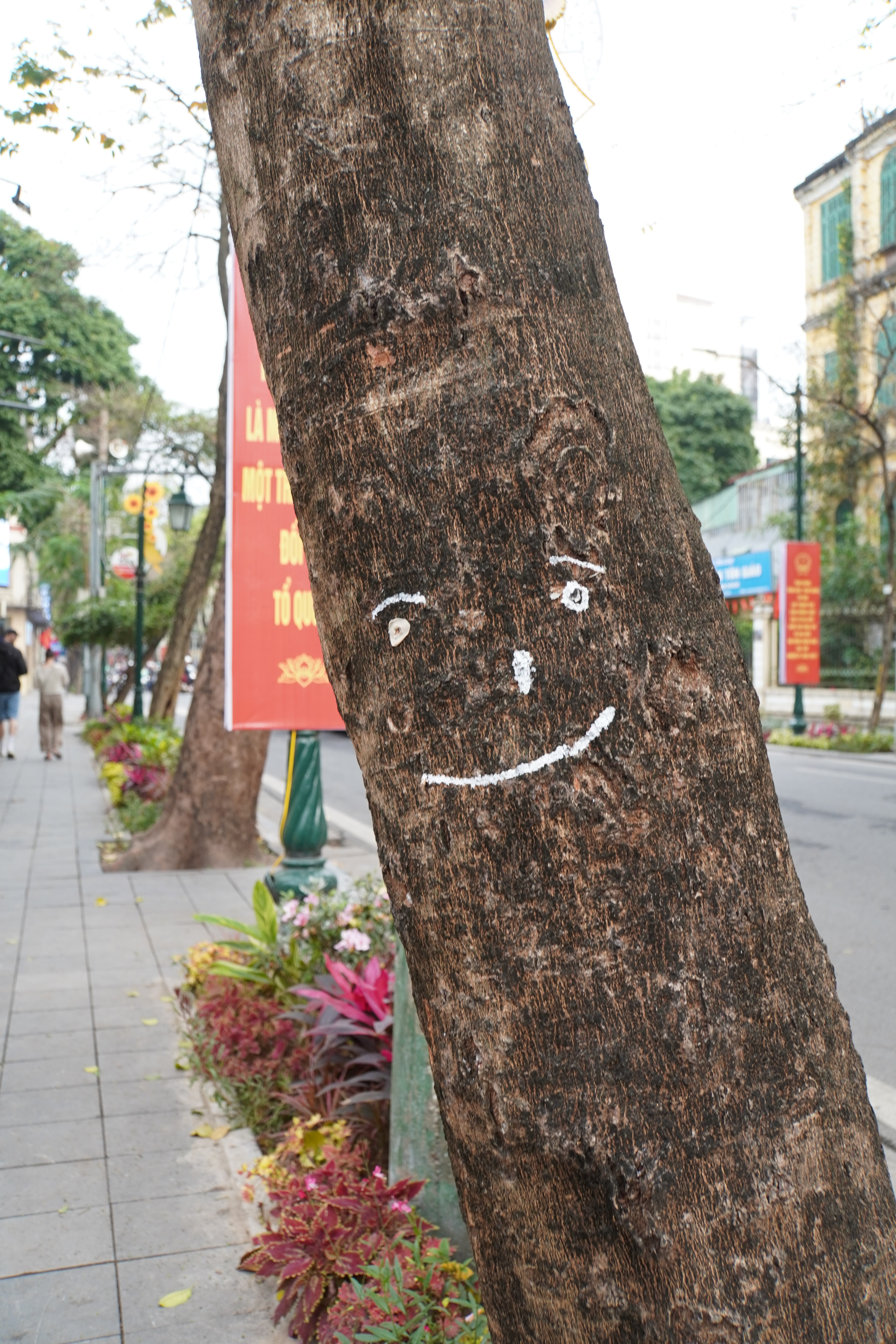 Kaugummi smiley am Baum