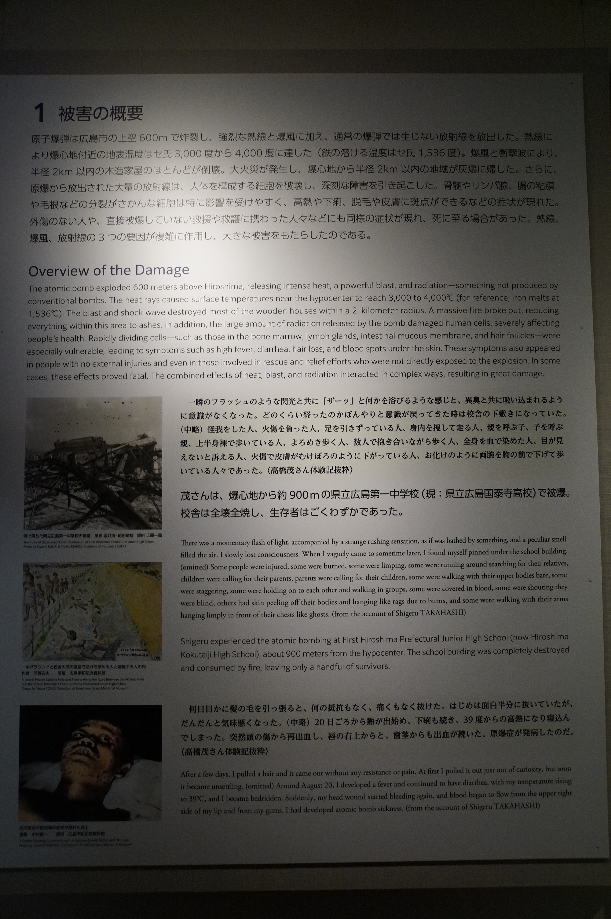 Überlebensgeschichte 1