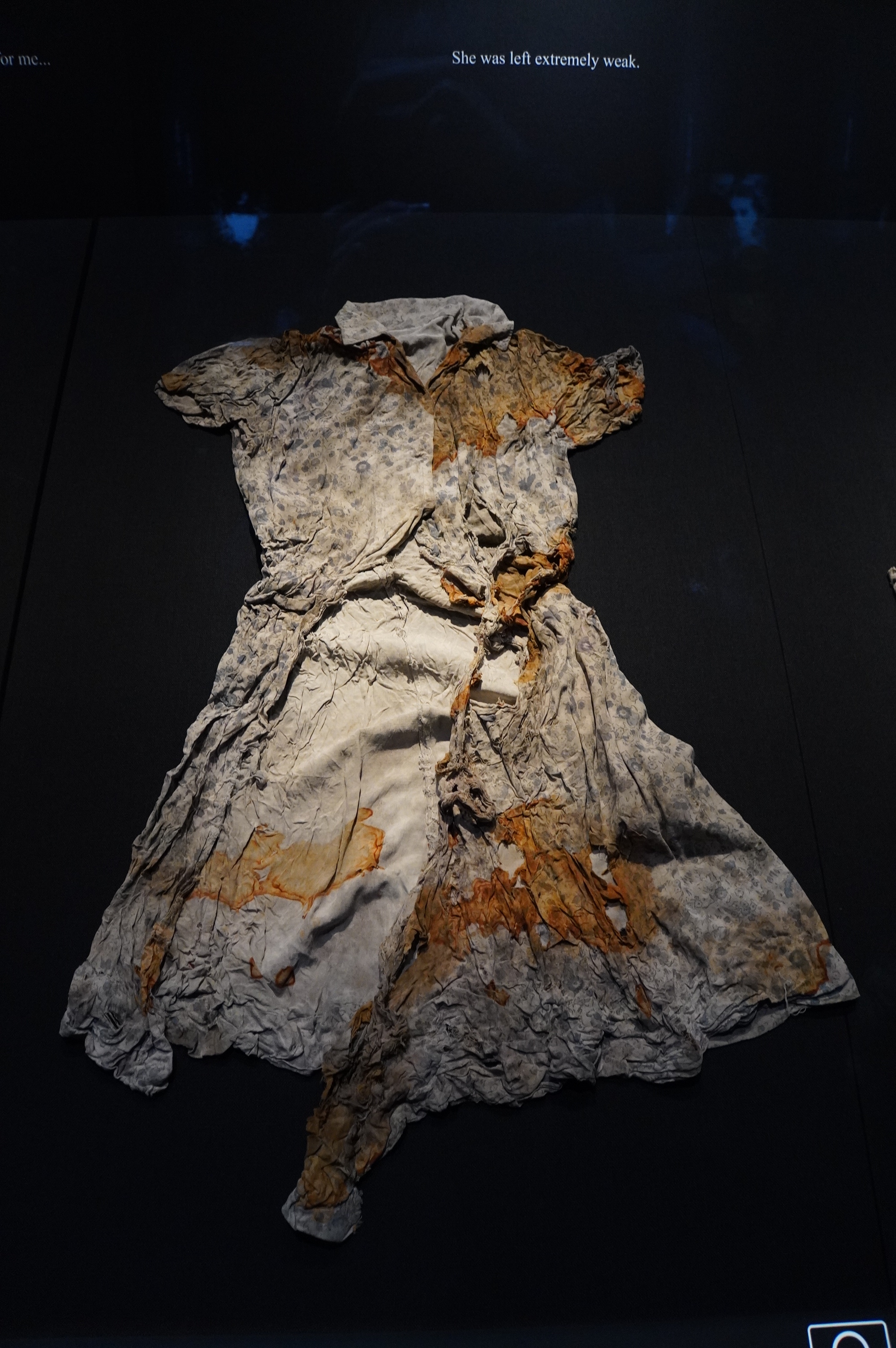 zerissenes und voll geblutetes Kleid