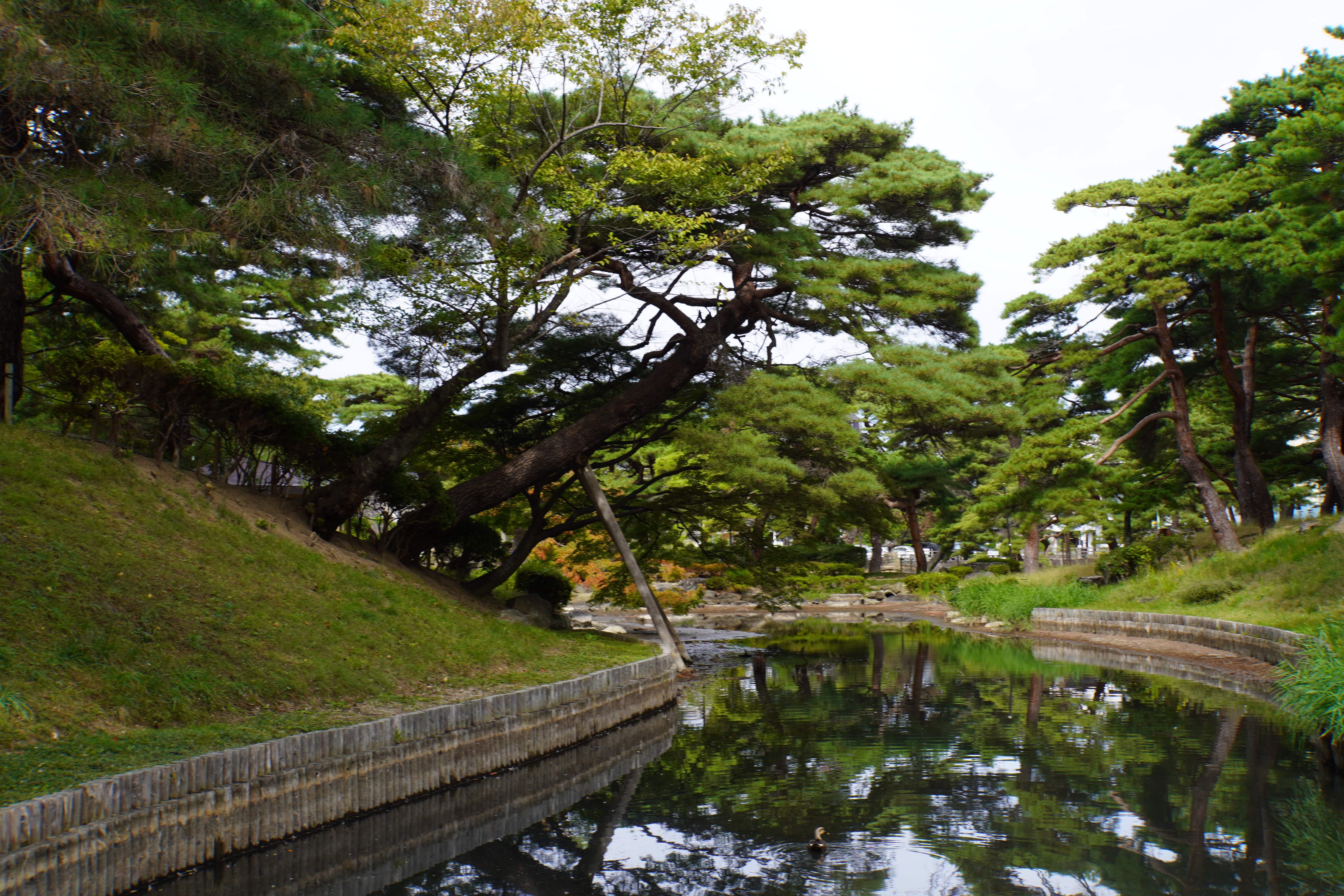 Park mit kleinem See