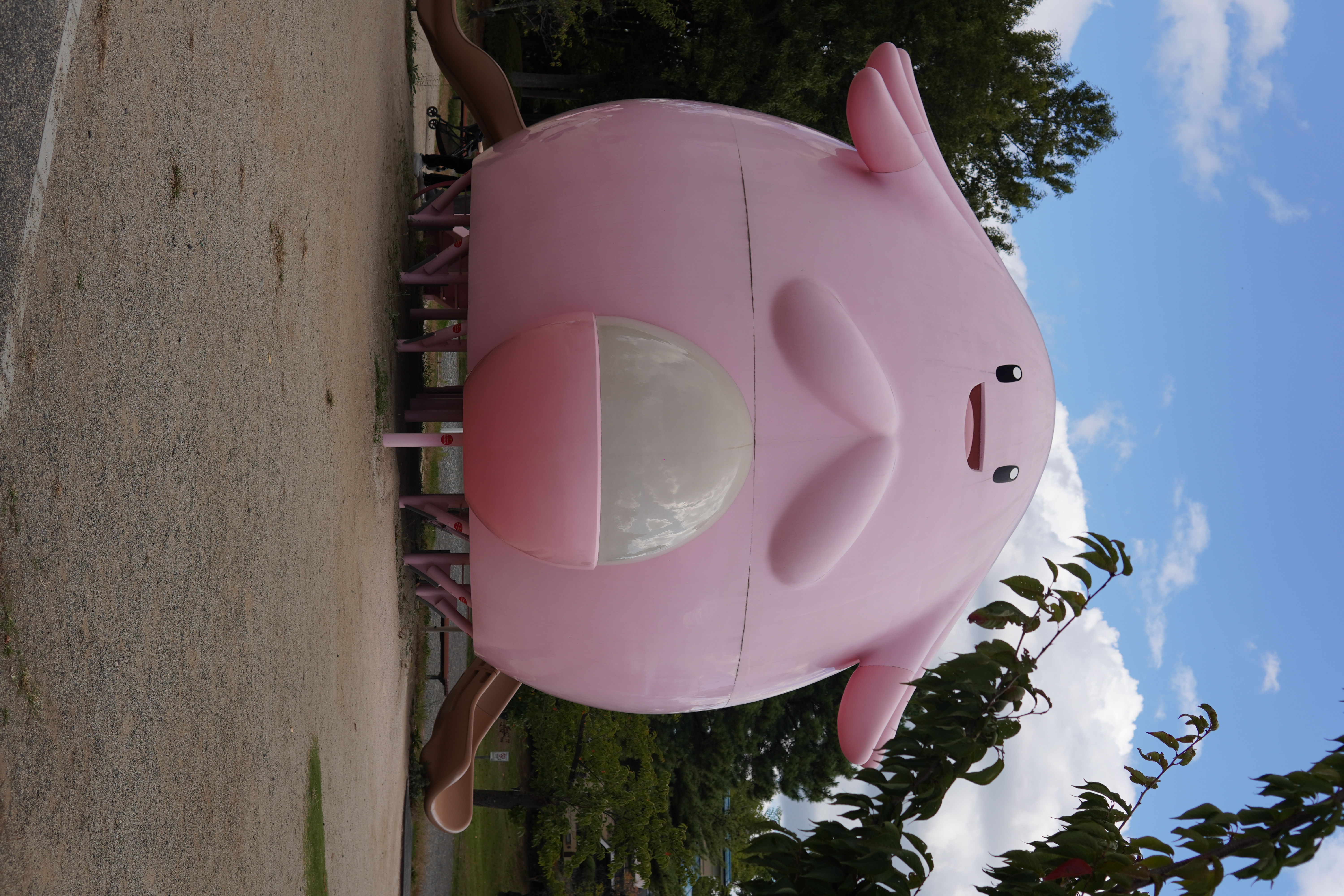 Pokémon-Spielplatz 4