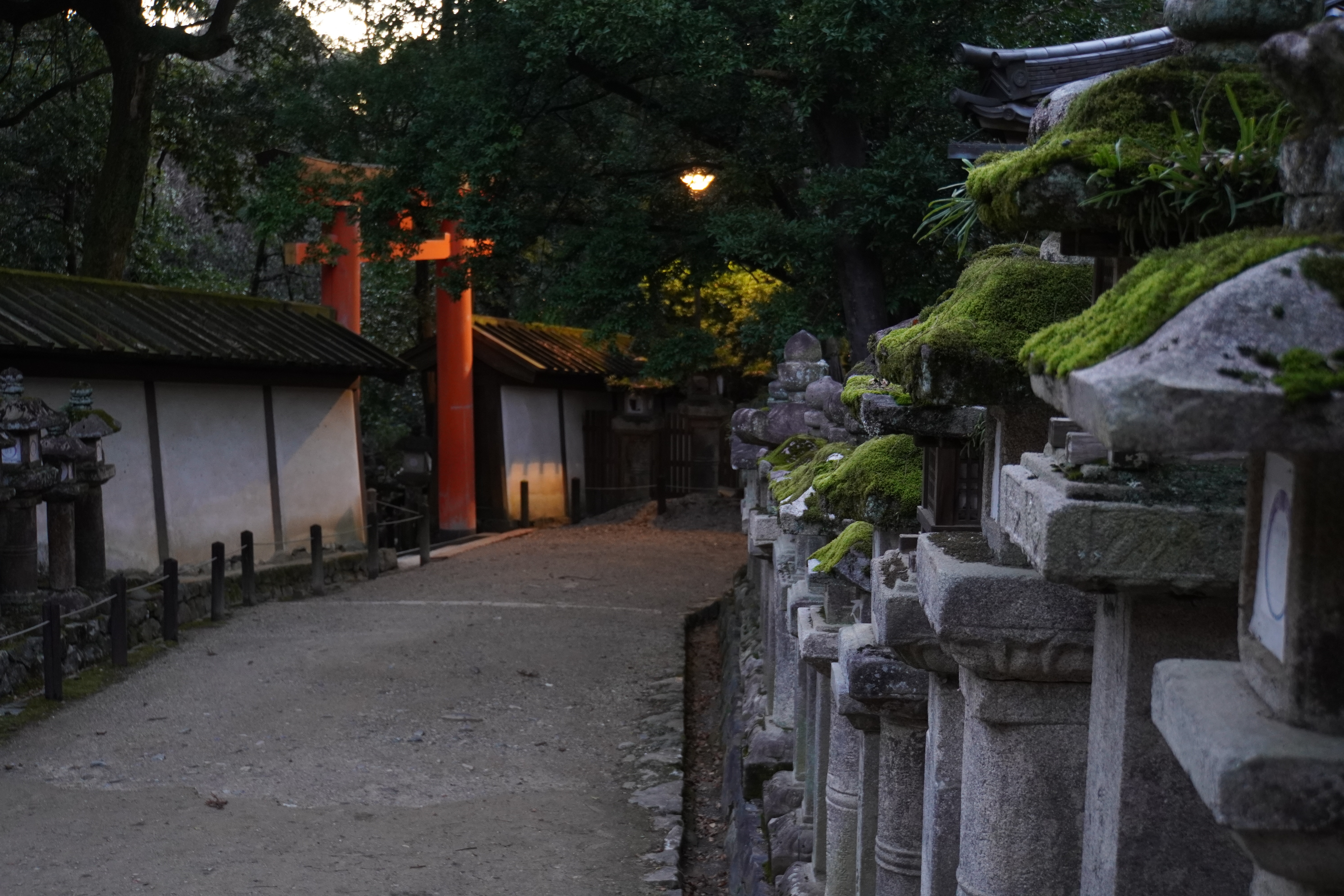 Weg auf Tempelgelände