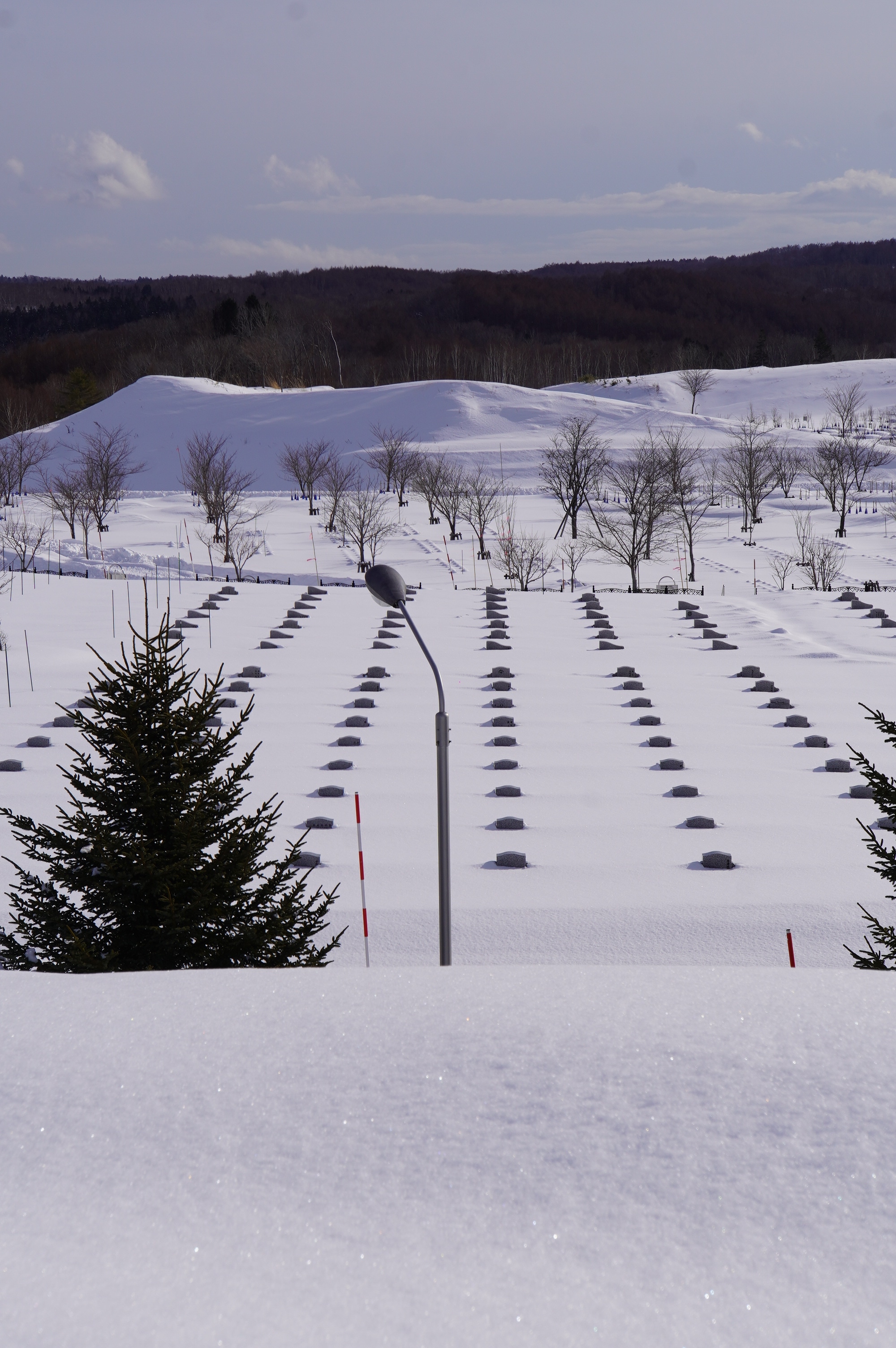 eingeschneite Grabsteine