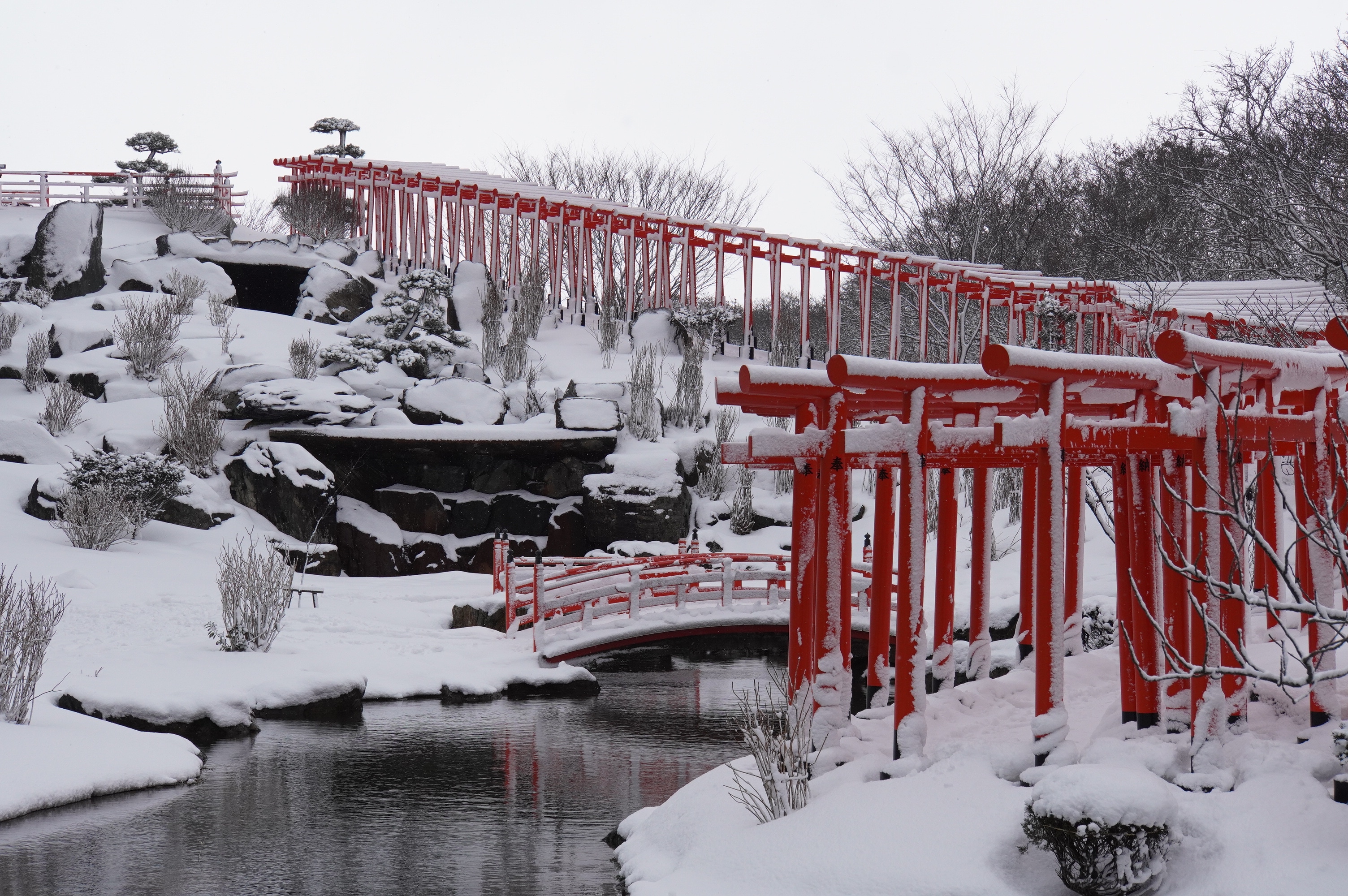 Blick auf hunderte Tori-Tore