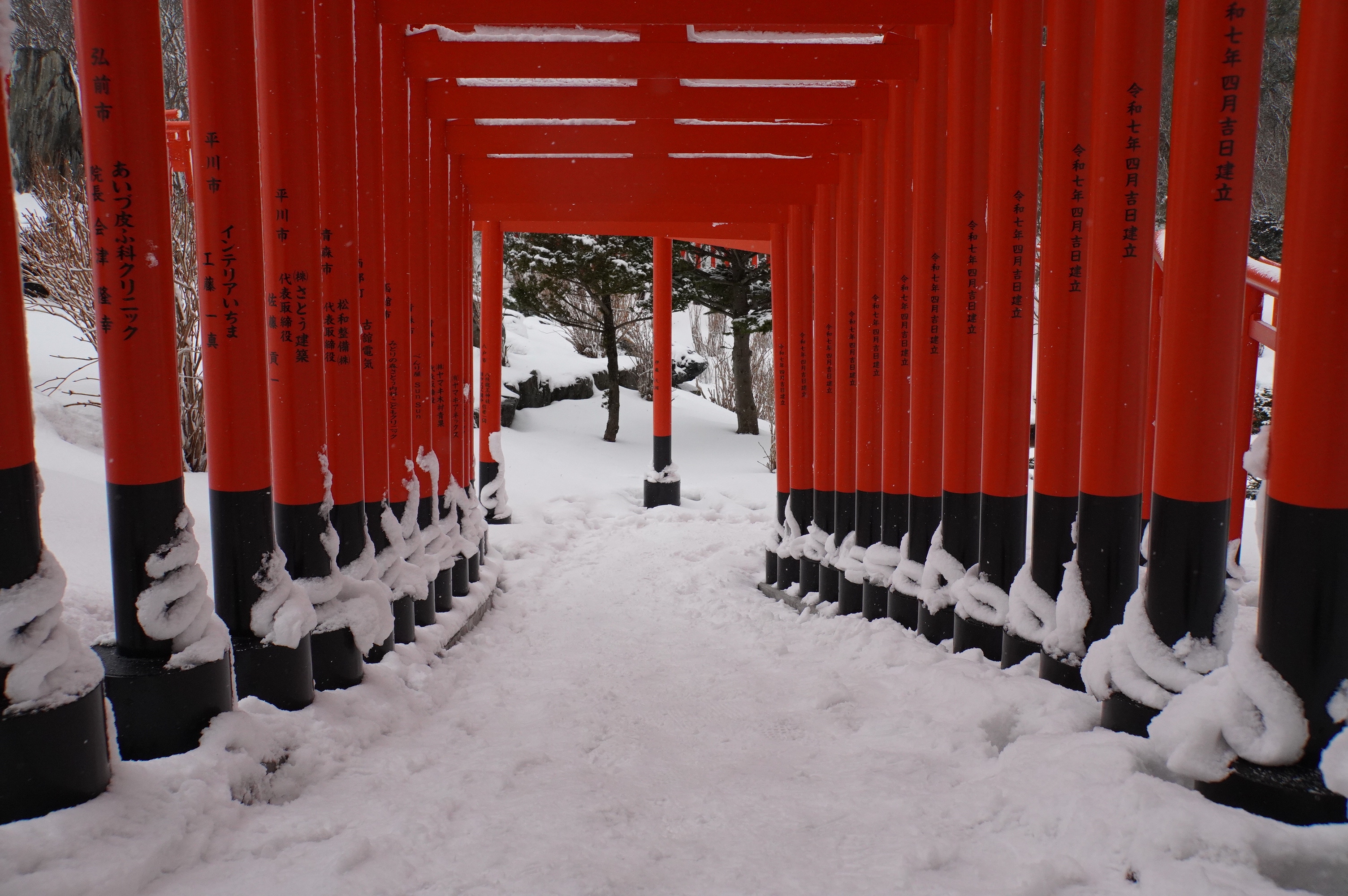 Schnee schlängelt sich die Tori-Tore hoch