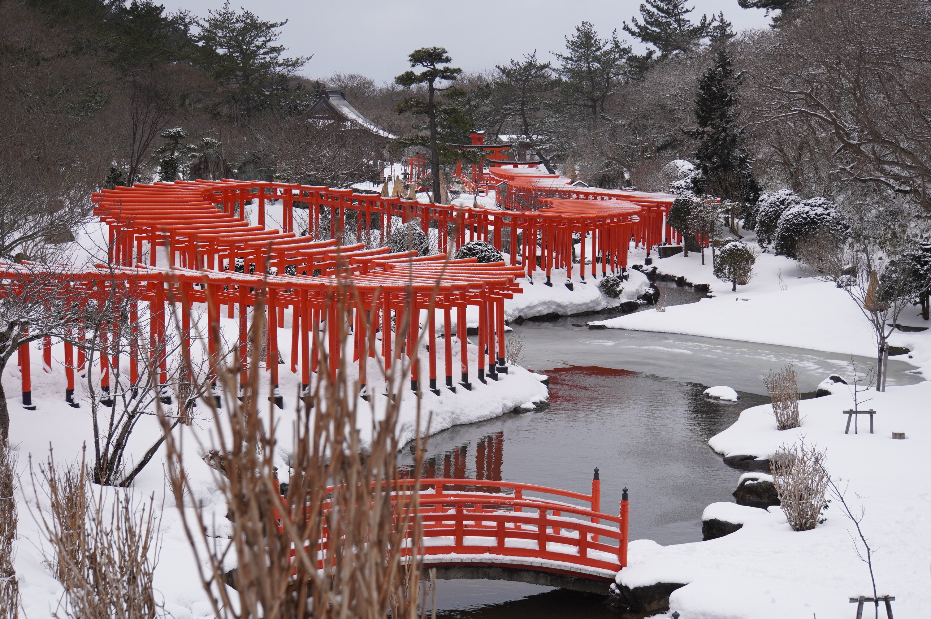 Blick auf hunderte Tori-Tore 2