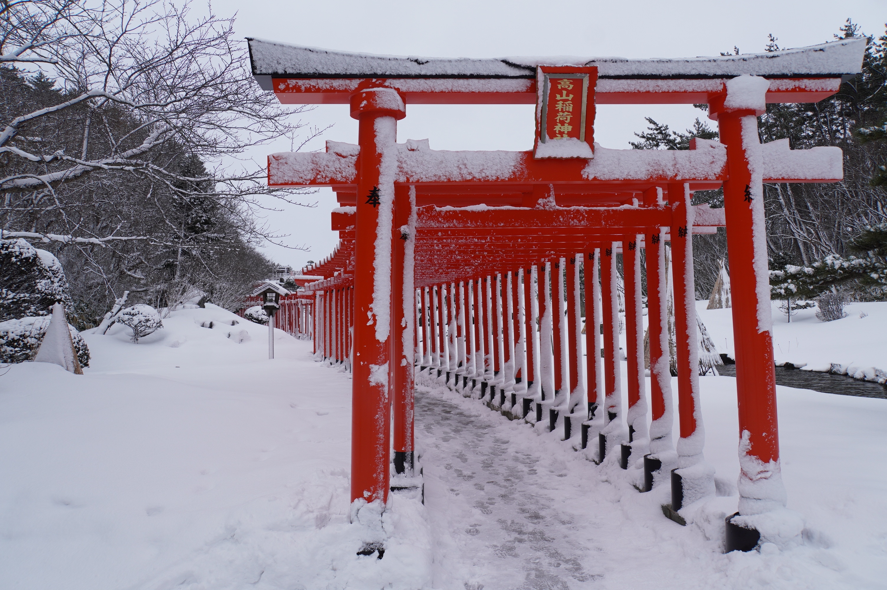 Weg durch hunderte Tori-Tore