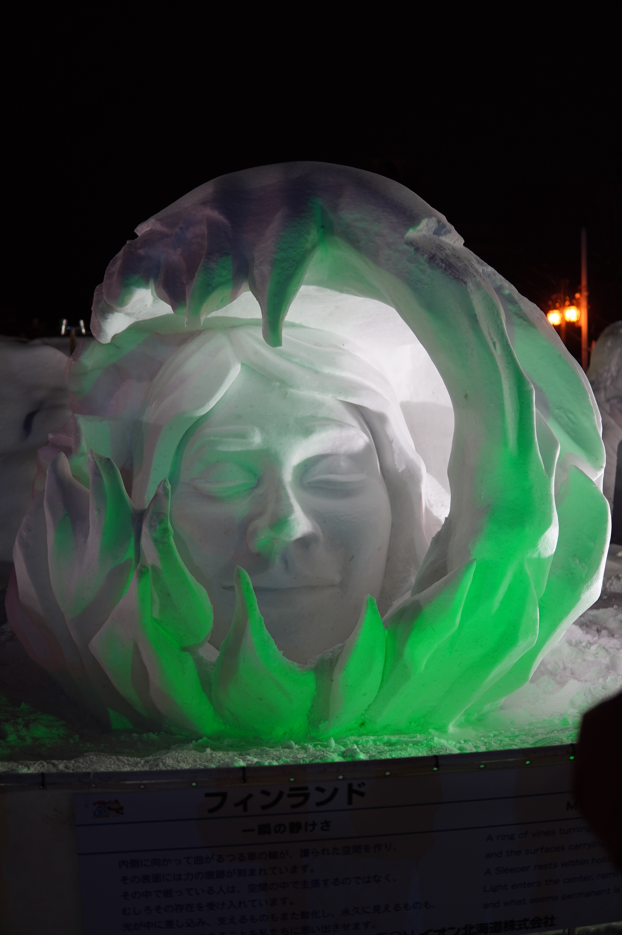 Schneekunst Gesicht in Welle