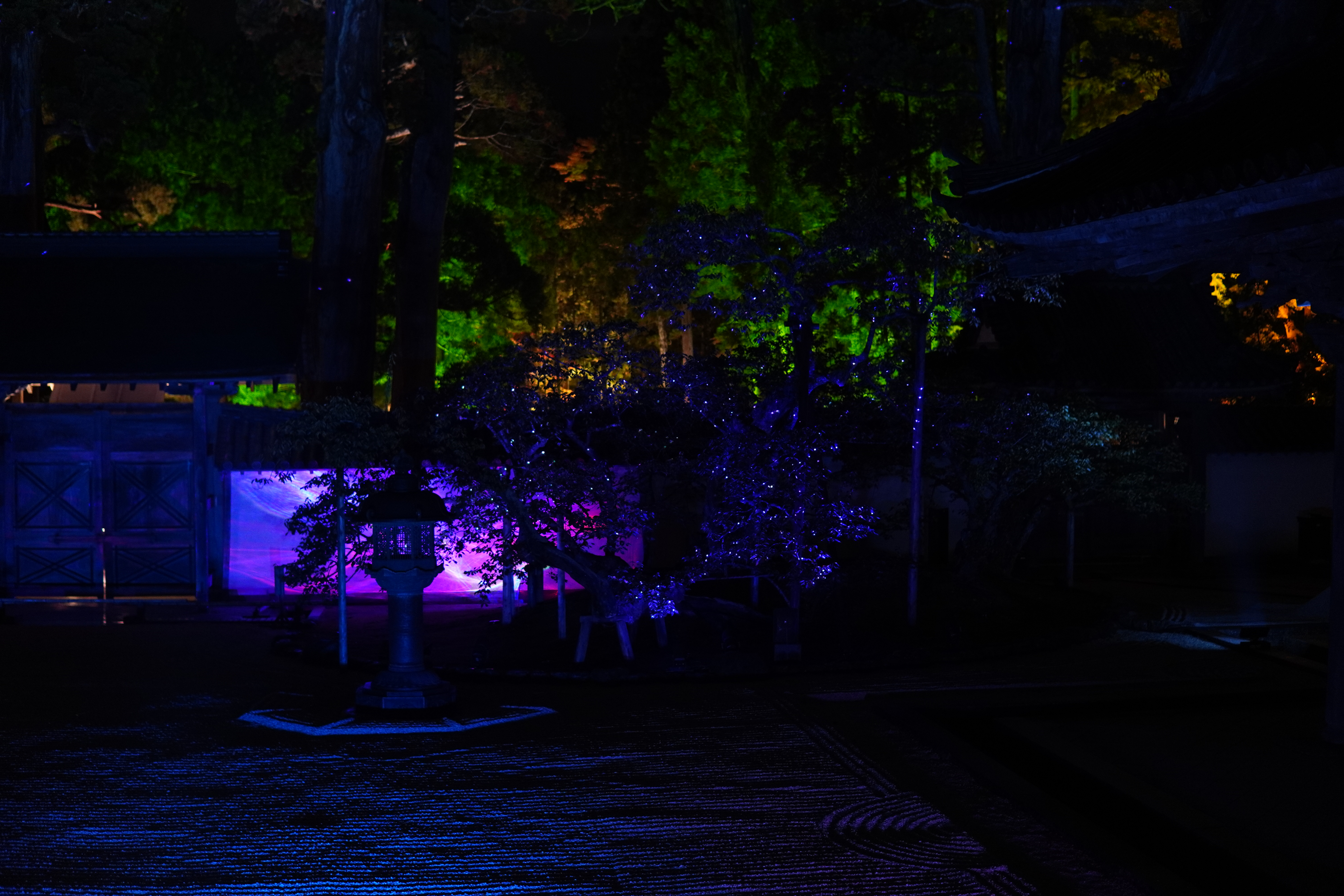 glitzernde Bäume mit beleuchteten Hintergrund