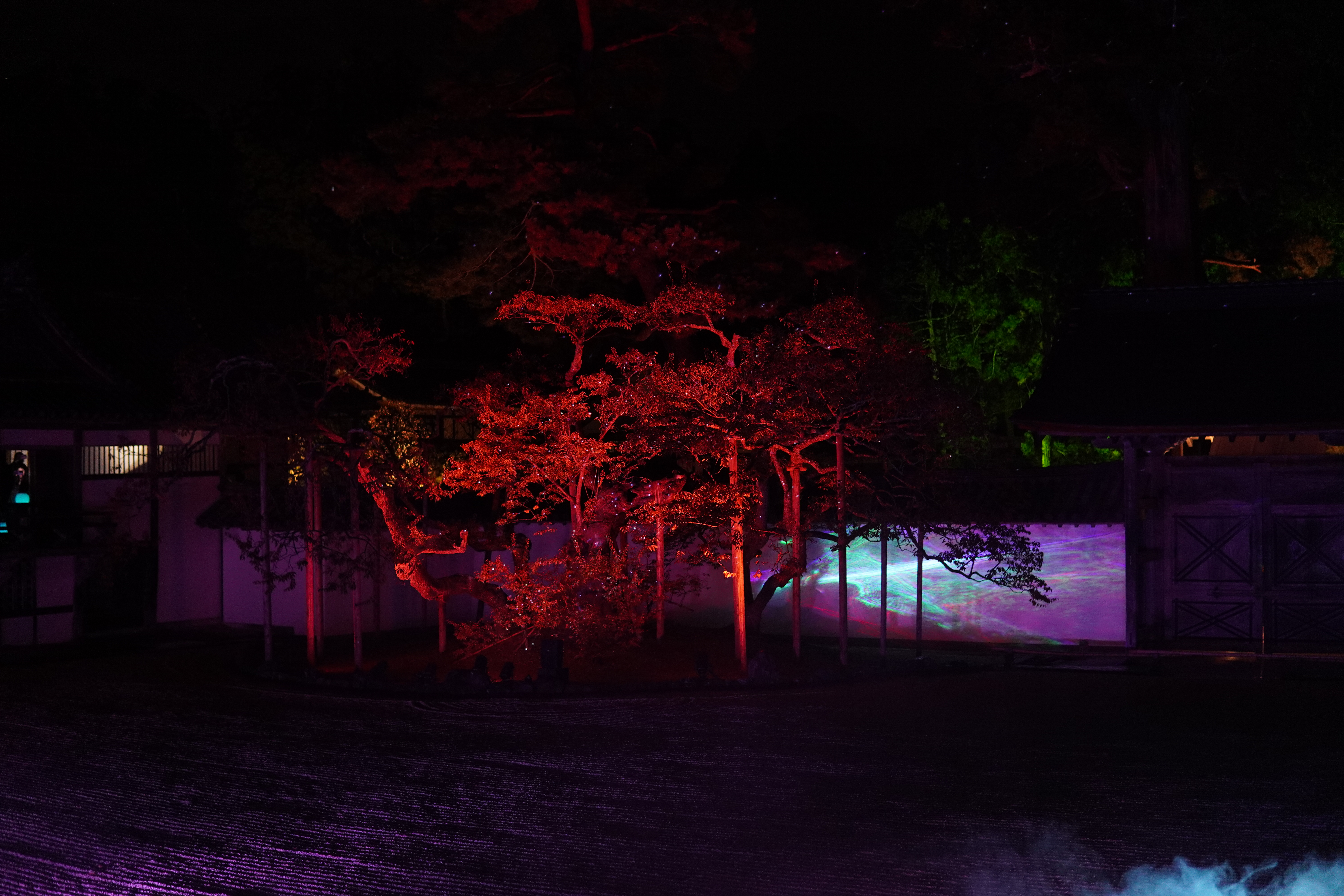 glitzernde Bäume mit beleuchteten Hintergrund