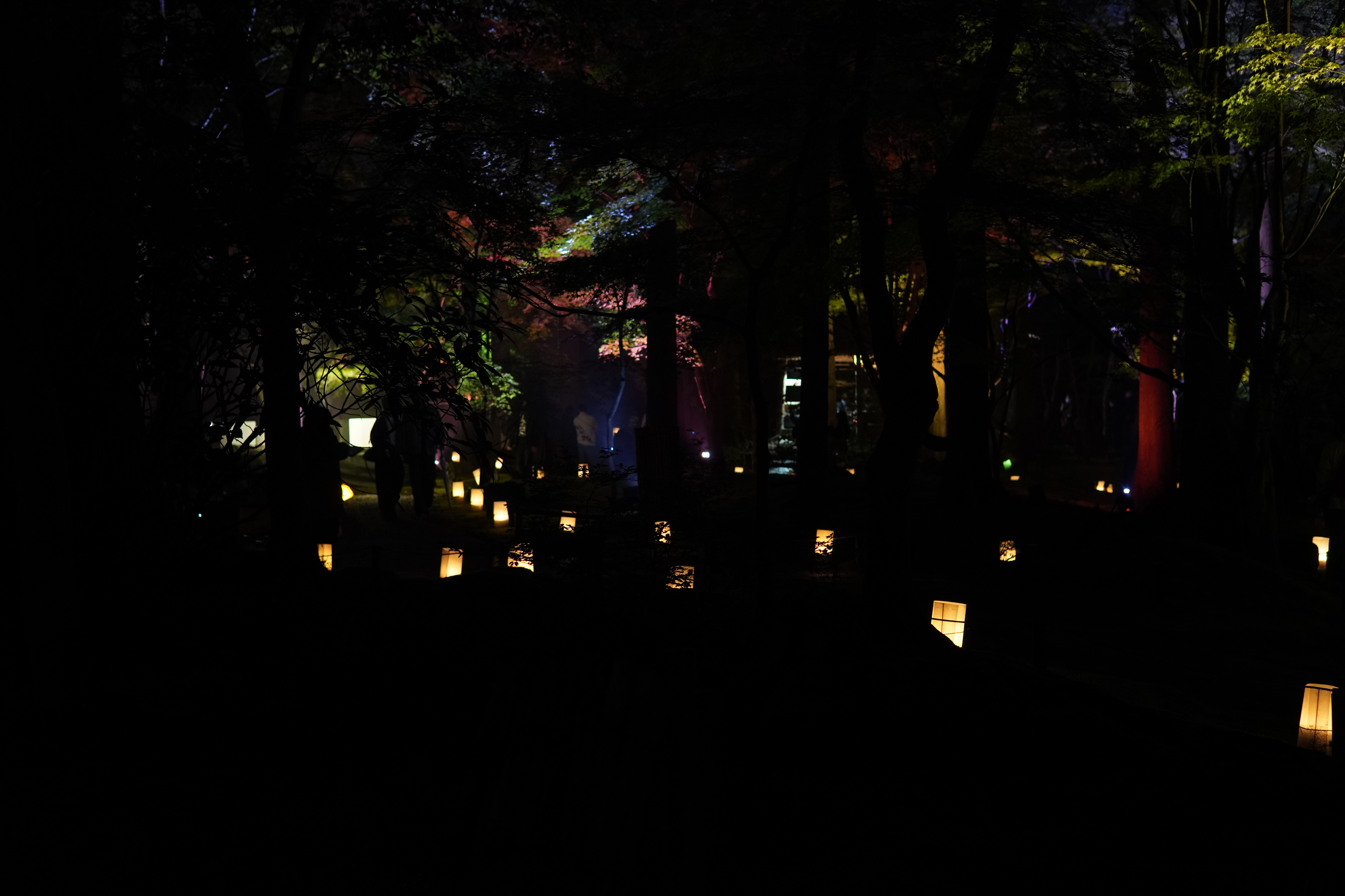 beleuchtet Entsuin Garten