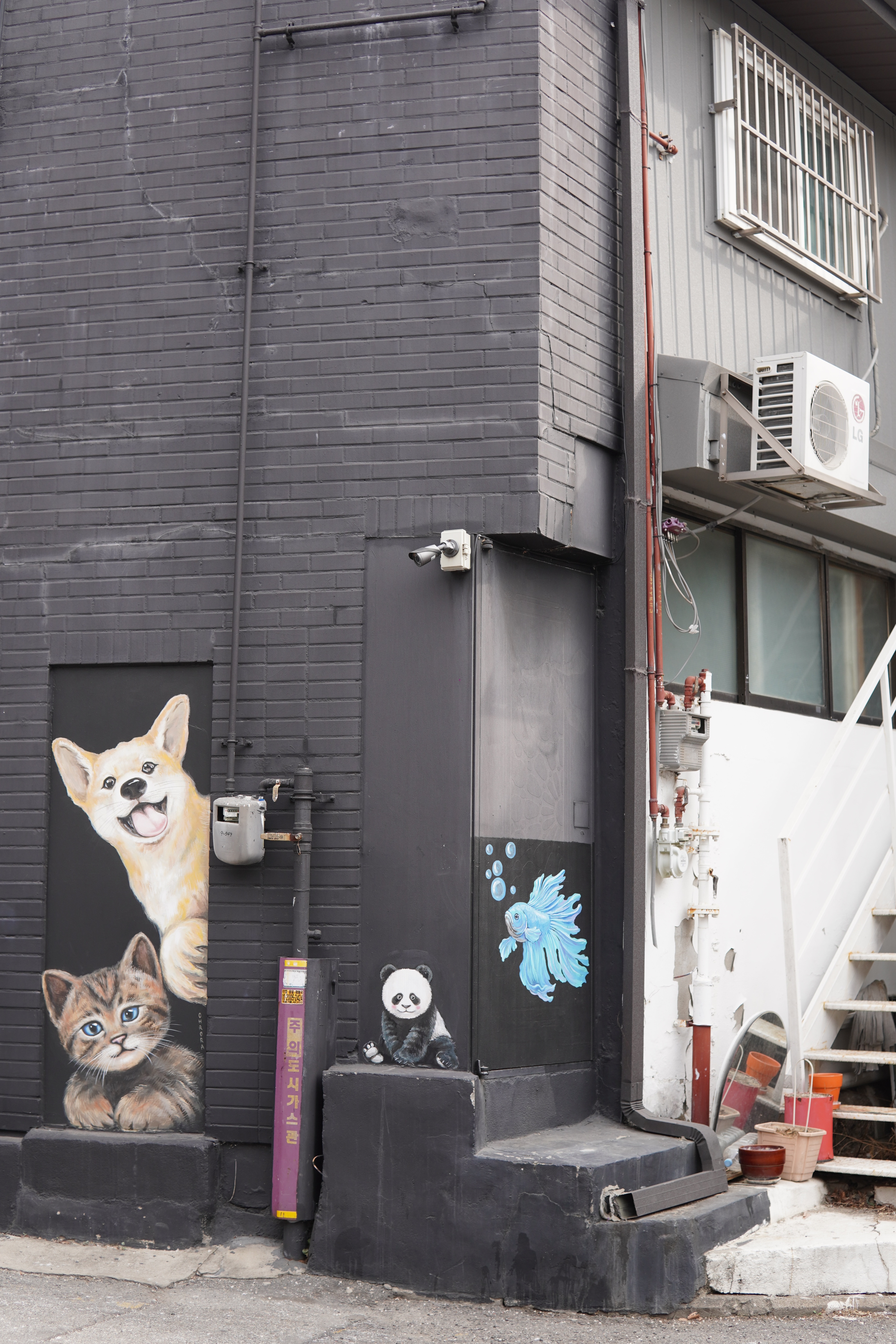 Tiere freuen sich auf Besucher