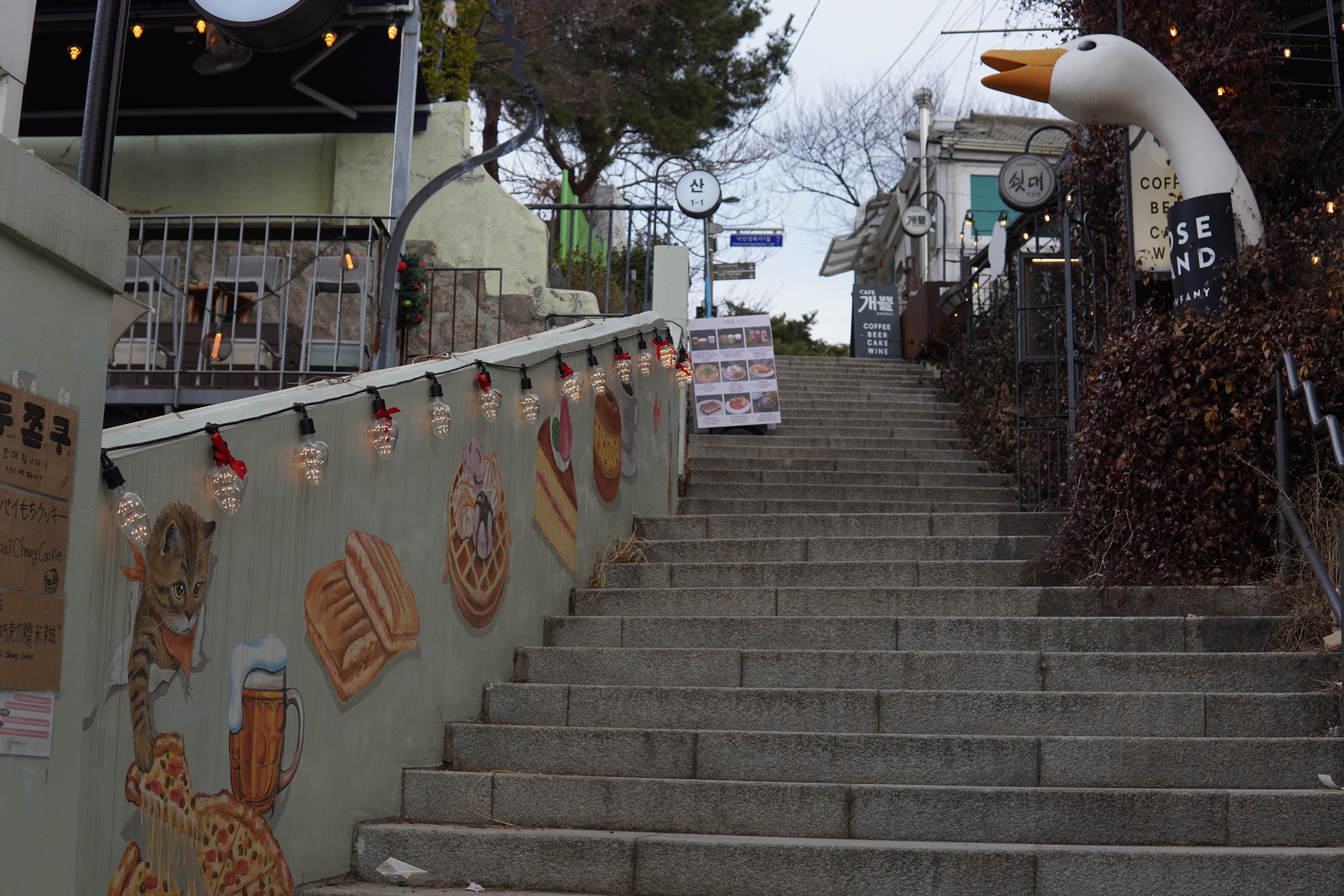 Hungrige Katze hat noch einiges vor sich