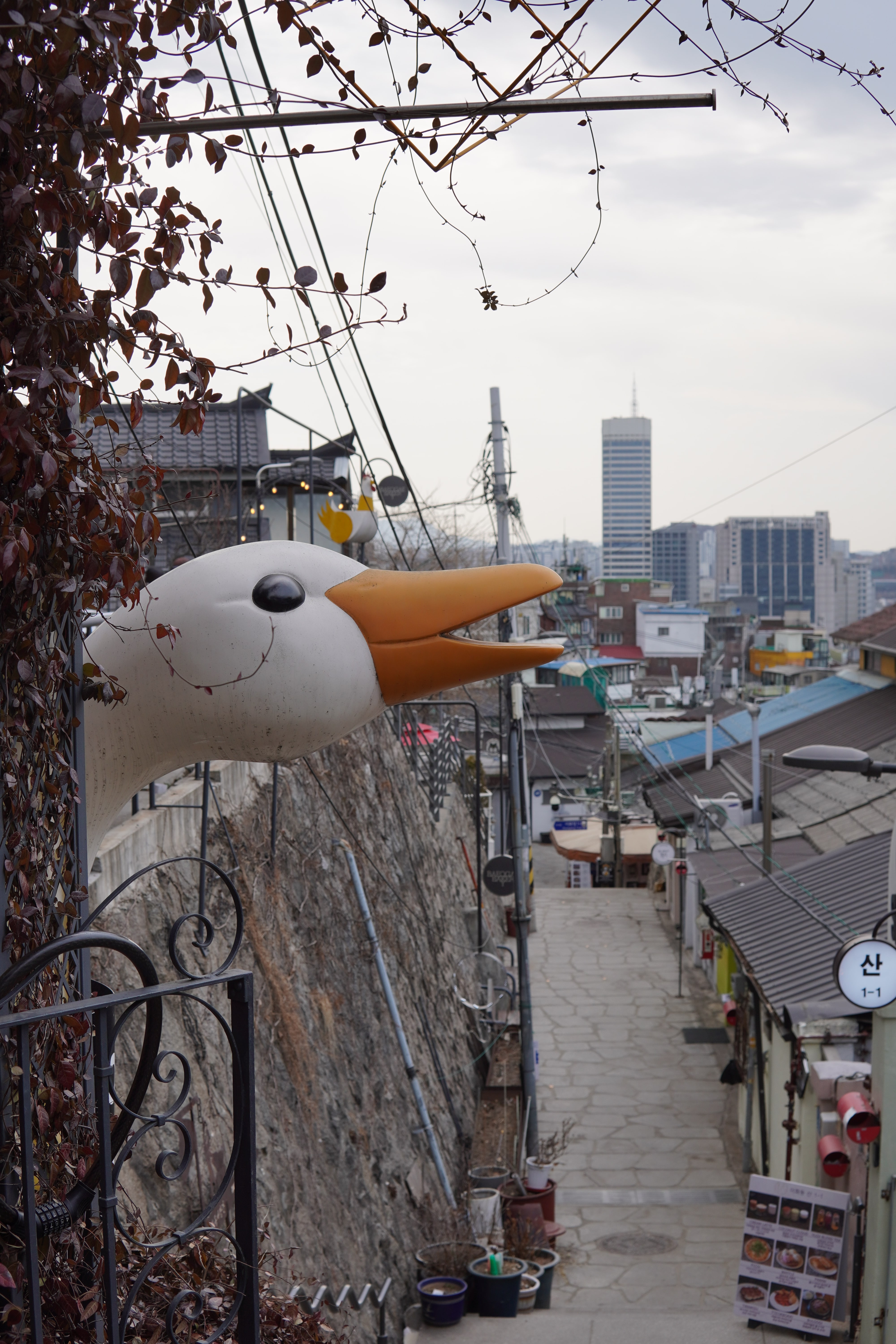 Die Ente freut sich auf die Stadt