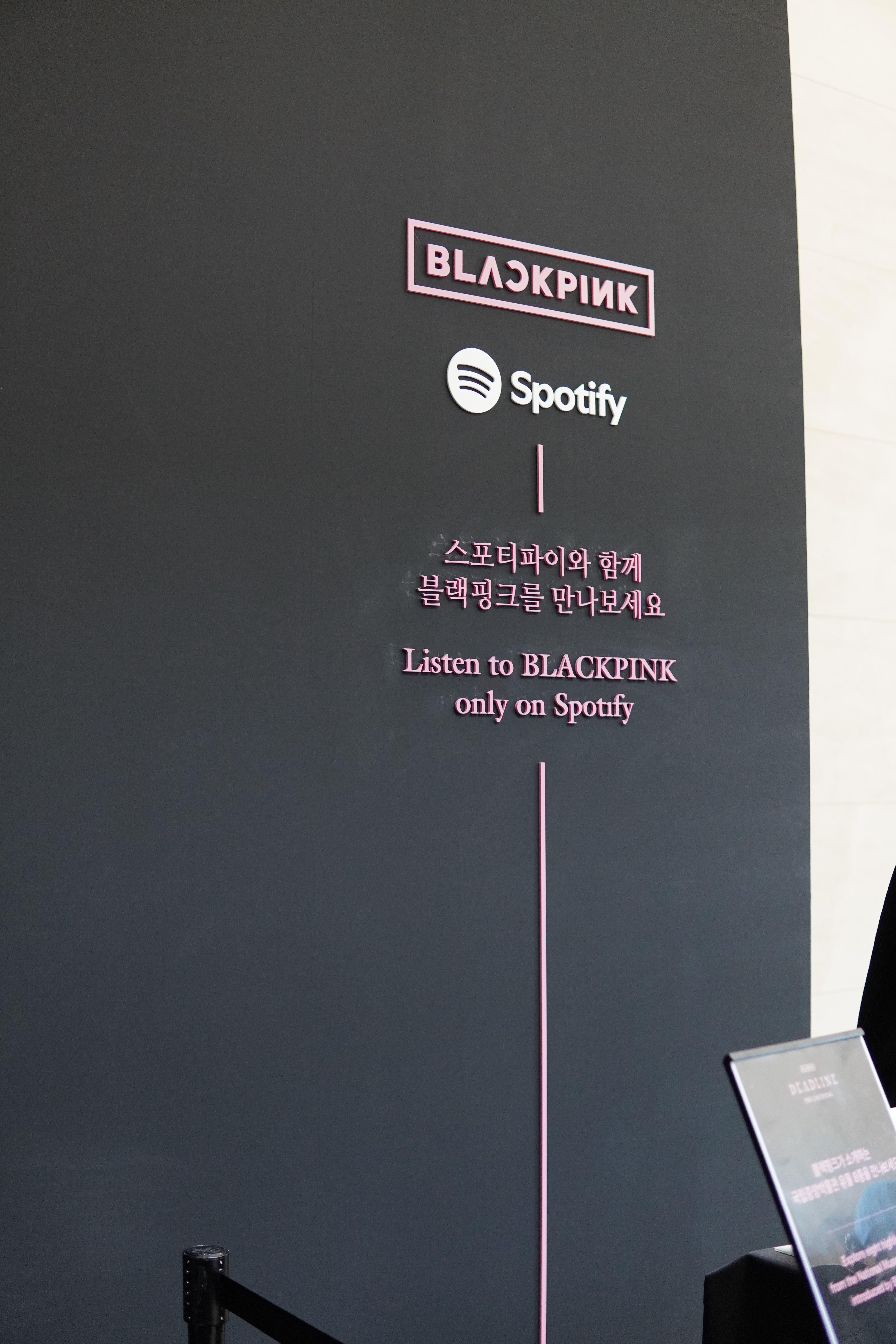 BLACKPINK und Spotify geben Musik-Kostproben