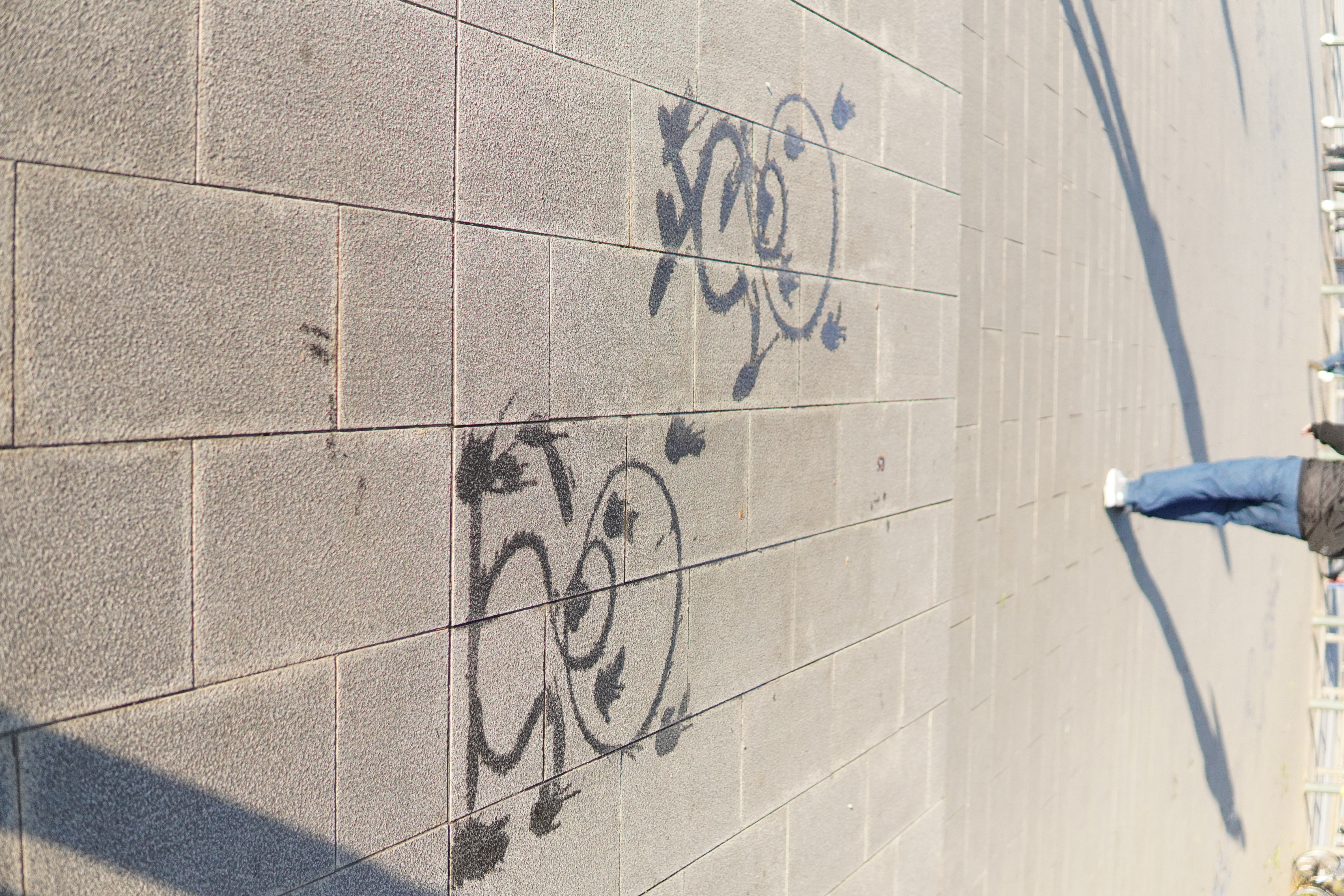 mit Wasser gemalte Pandas