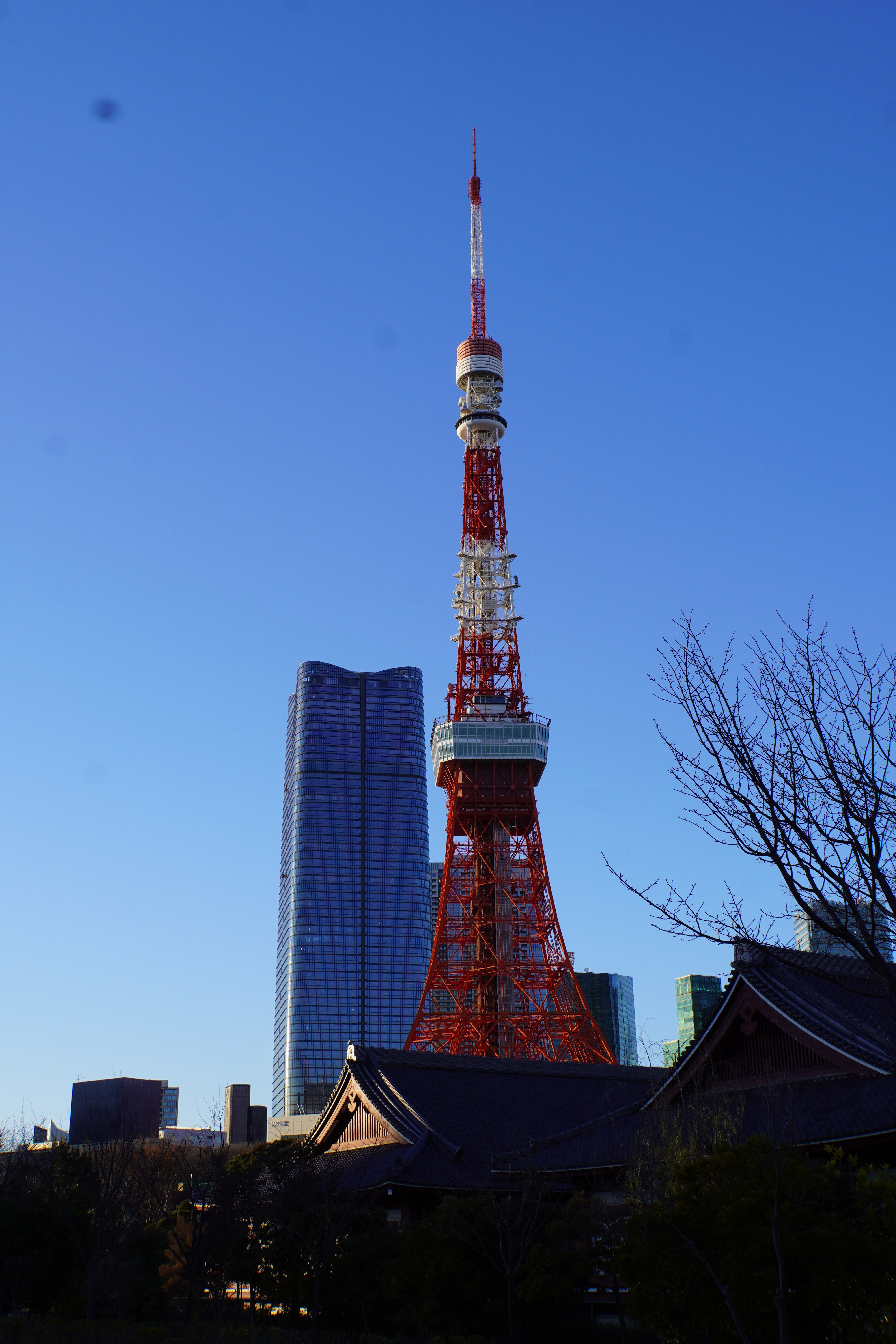 Tokyo Tower hinter Tempel