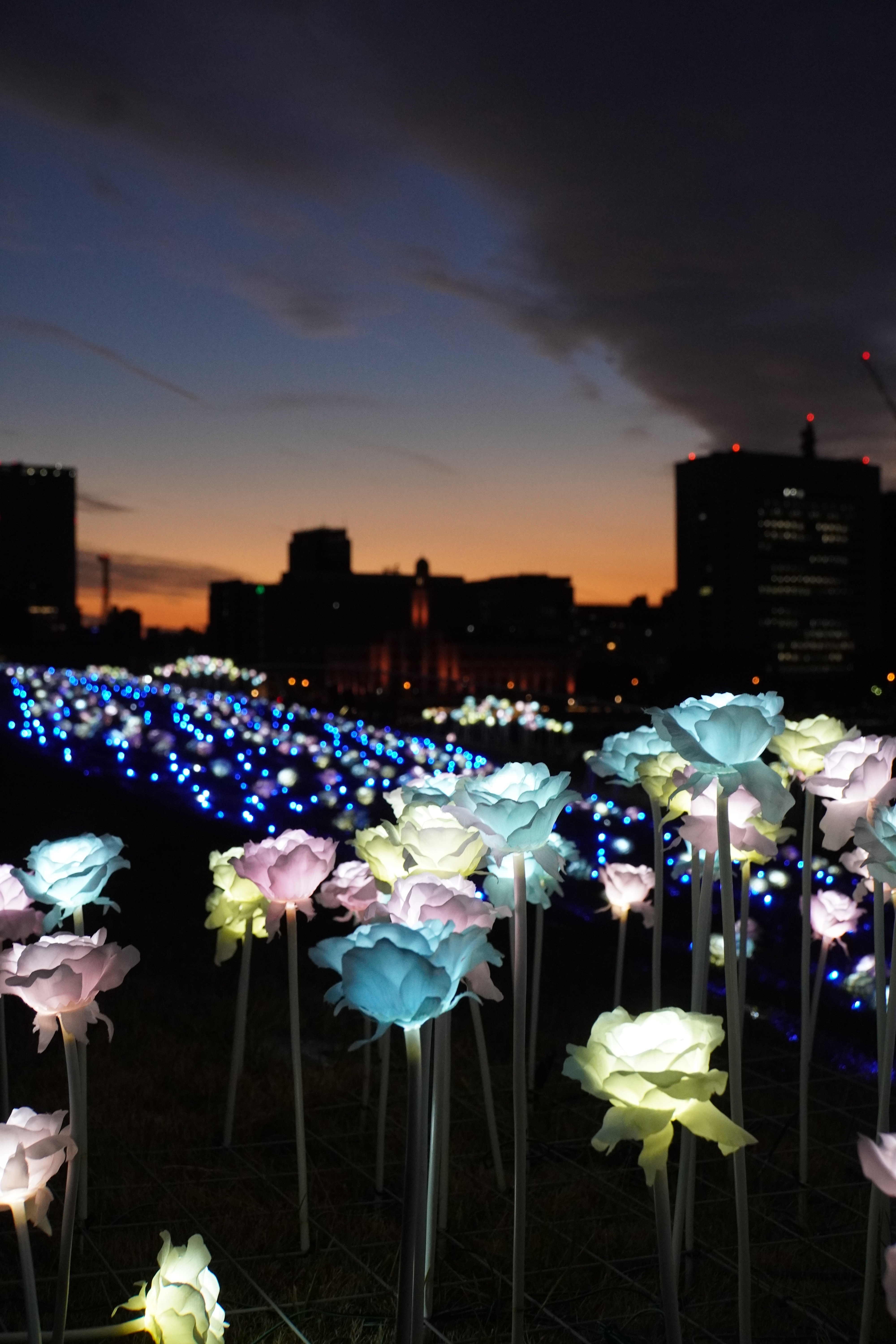 beleuchteter Blumen auf Port